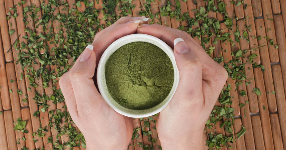 5 Important Benefits of Moringa You Need to Know