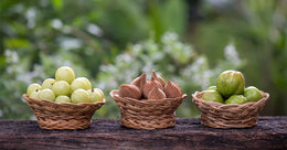 Grape Seed Extract: The Beauty Secret for Radiant Skin