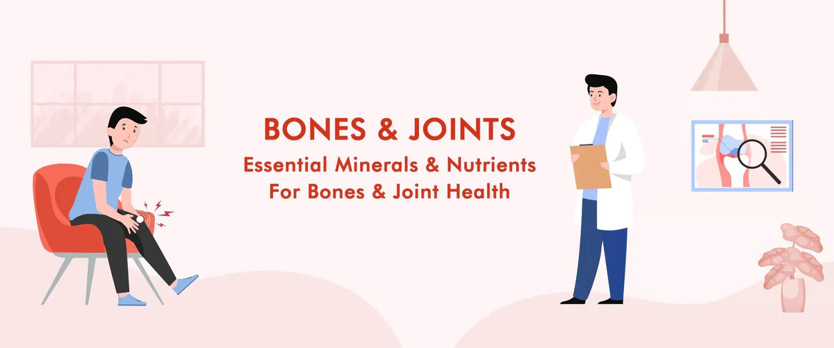 Joints & Bones